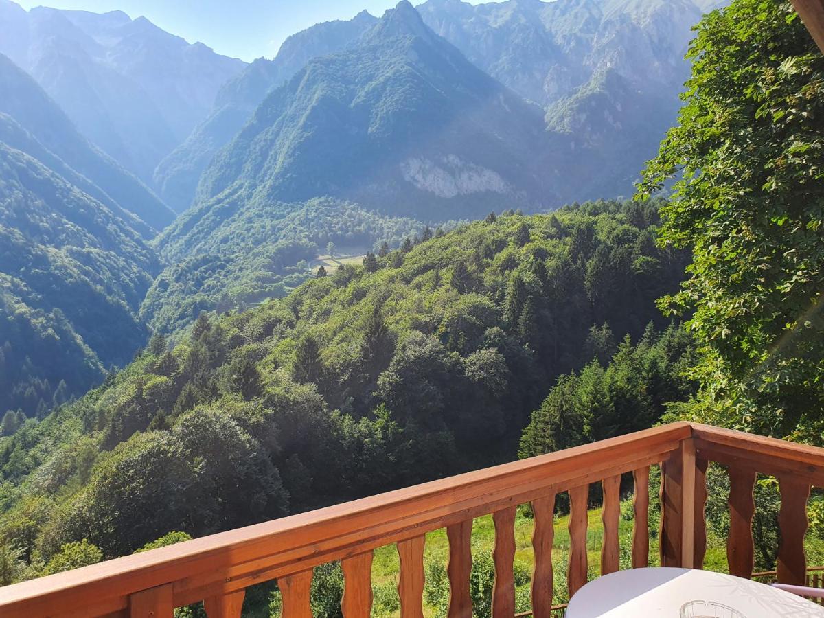 Paradiso Parolari *