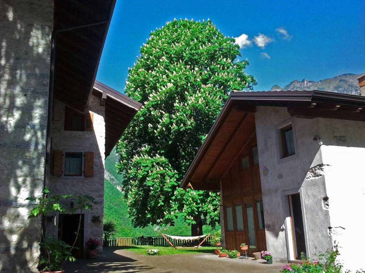 Paradiso Parolari Apartment Tenno